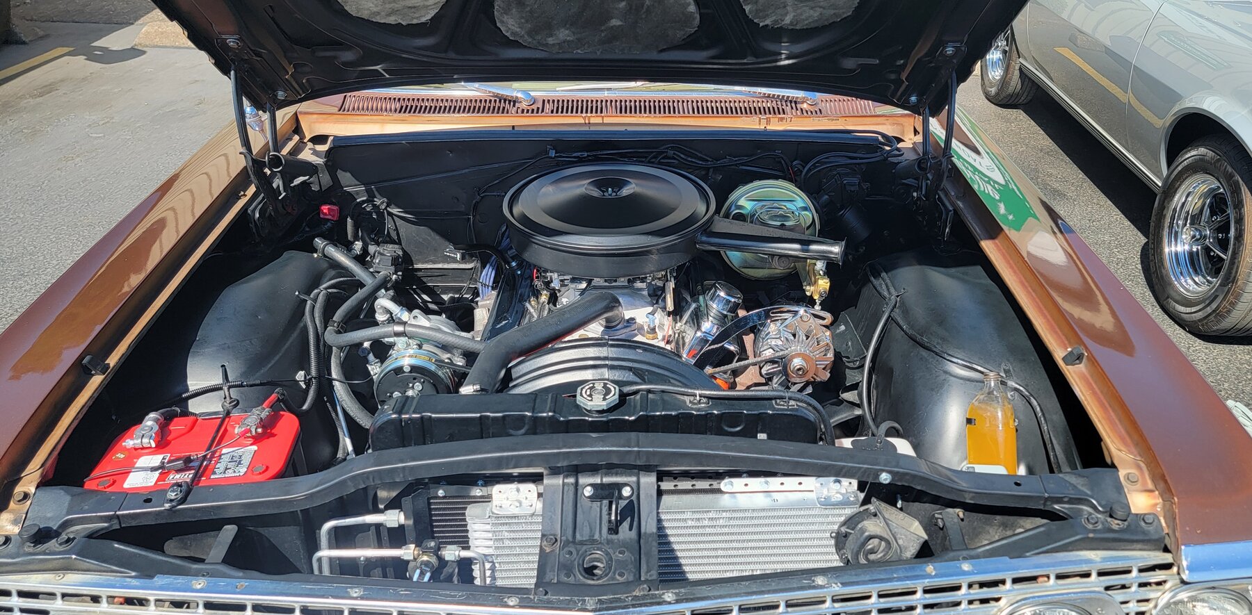 Detailed engine bay after an engine compartment detail in Eugene