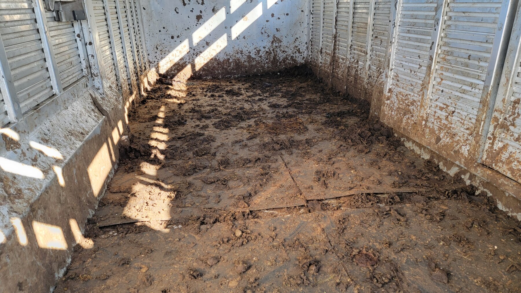 Livestock trailer interior before cleaning by Executive Auto Detail