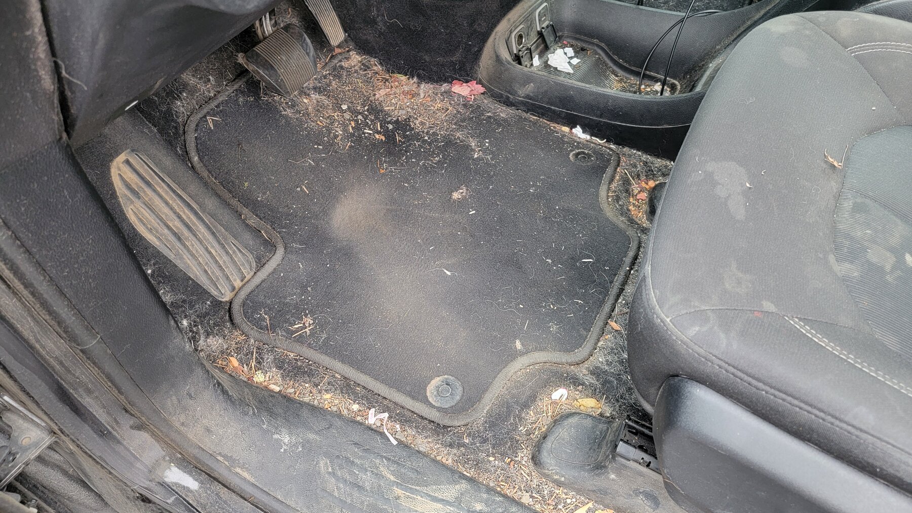 Minivan interior floor before detailing in Eugene, Oregon